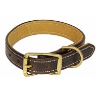 Dog Collar